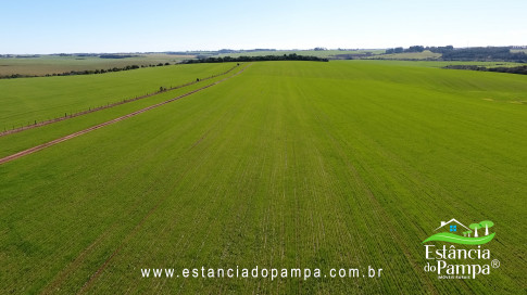 VAI DA BR PARA A FAZENDA.00_00_21_27.Quadro010_709fe07f7582a9f3109ca57b1a46067093f72159.jpg